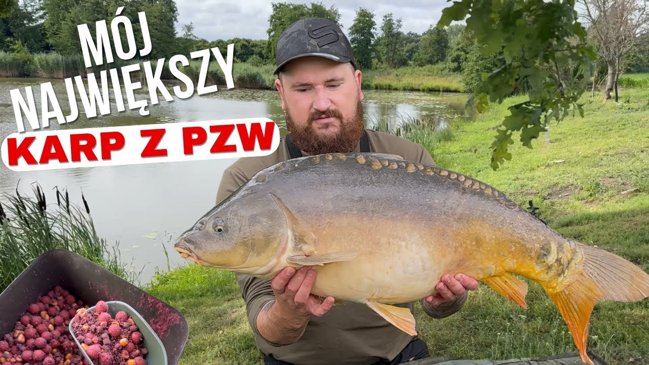 Mój największy Karp z PZW