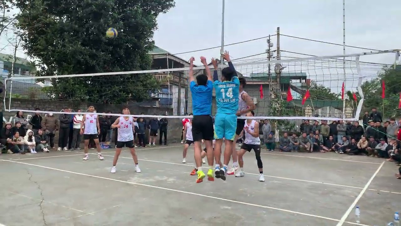 Đồng mả gặp quýt bán kết