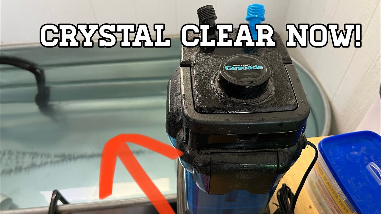 Making My Pond Filter WAY BETTER For CHEAP! Penn-Plax Cascade