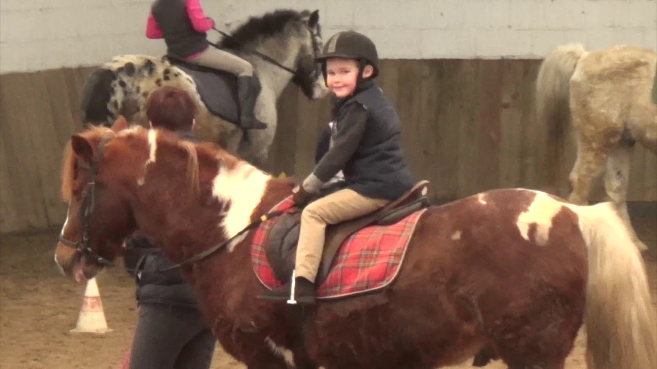 Ponyrijden Torhout