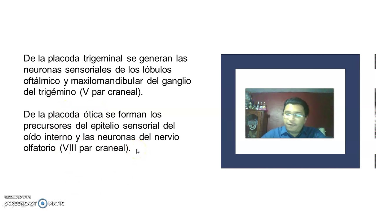 Placodas y crestas neurales