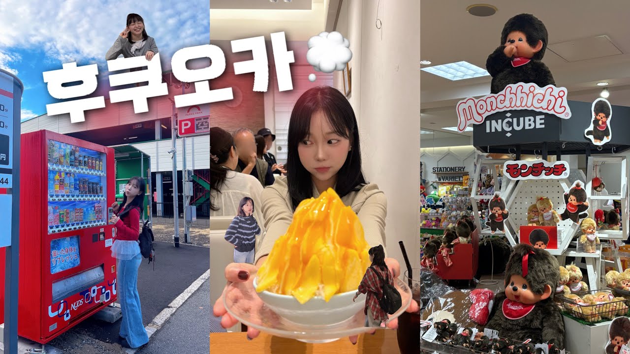 자매끼리 3박4일 후쿠오카 여행 코스 ₊˚☾.⋅♡ 영차..영..차..👩🏻‍🦽 