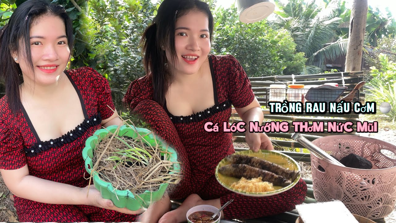 Bữa Cơm Quê Mộc Mạc Đậm Chất Người Miền Tây (Cá Lóc Nướng Cuộn Bánh Tráng) Ngon quá cả nhà ơi.