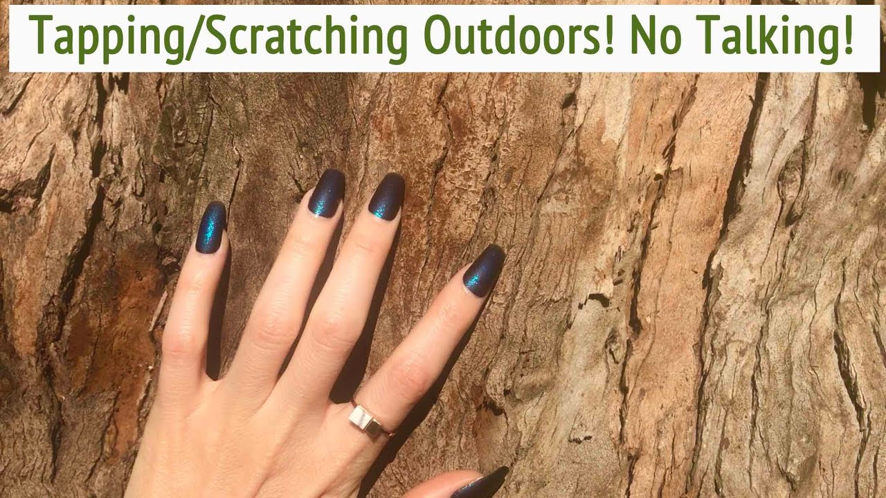 ASMR * 🌳🪨🍁  Tapping & Scratching Outdoors * Trees, Rocks, Leaves * Fast Tapping * No Talking