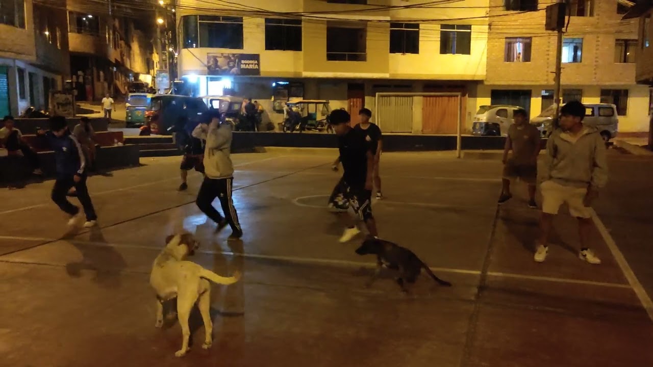 Ensayando para la candelaria 2026 
