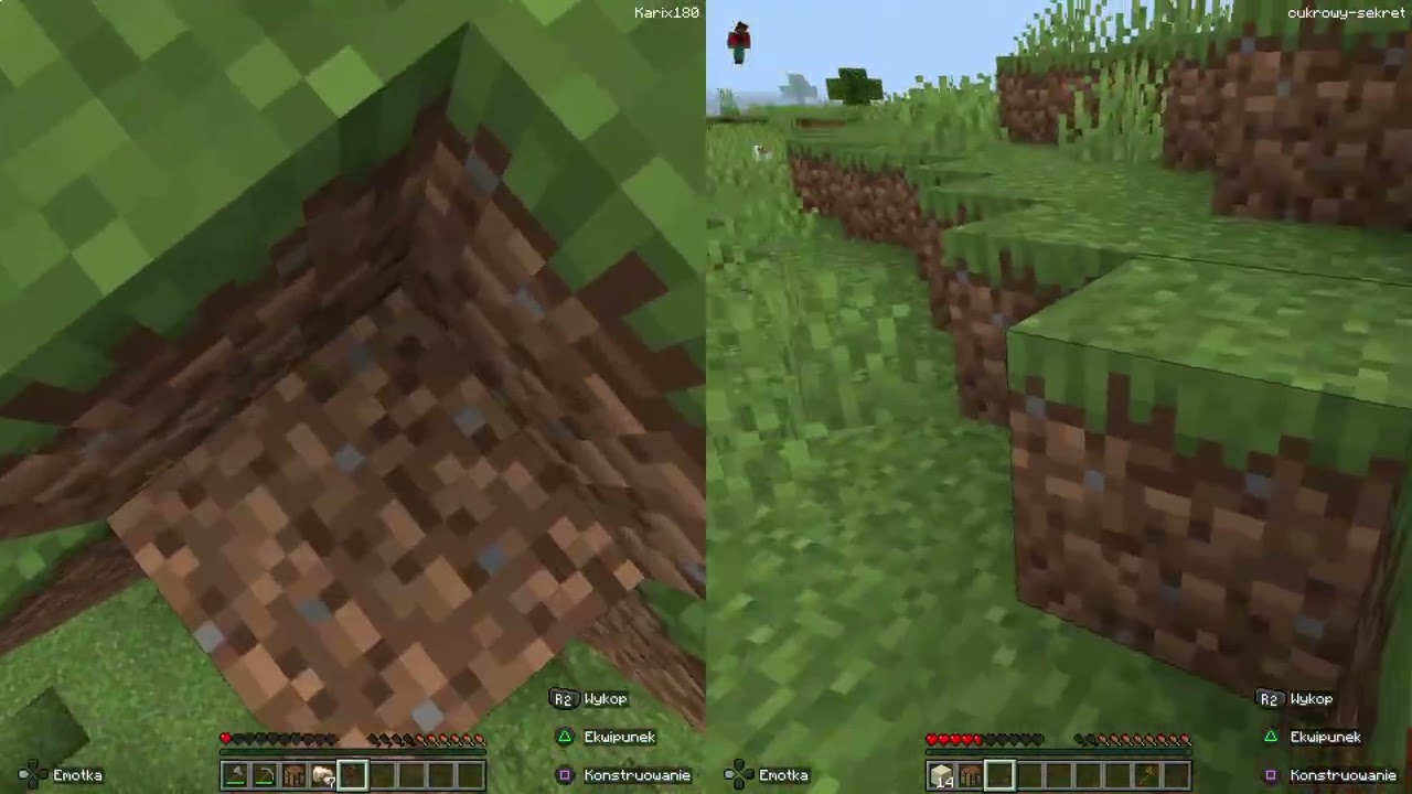 dziś gramy w minecraft survival ;)