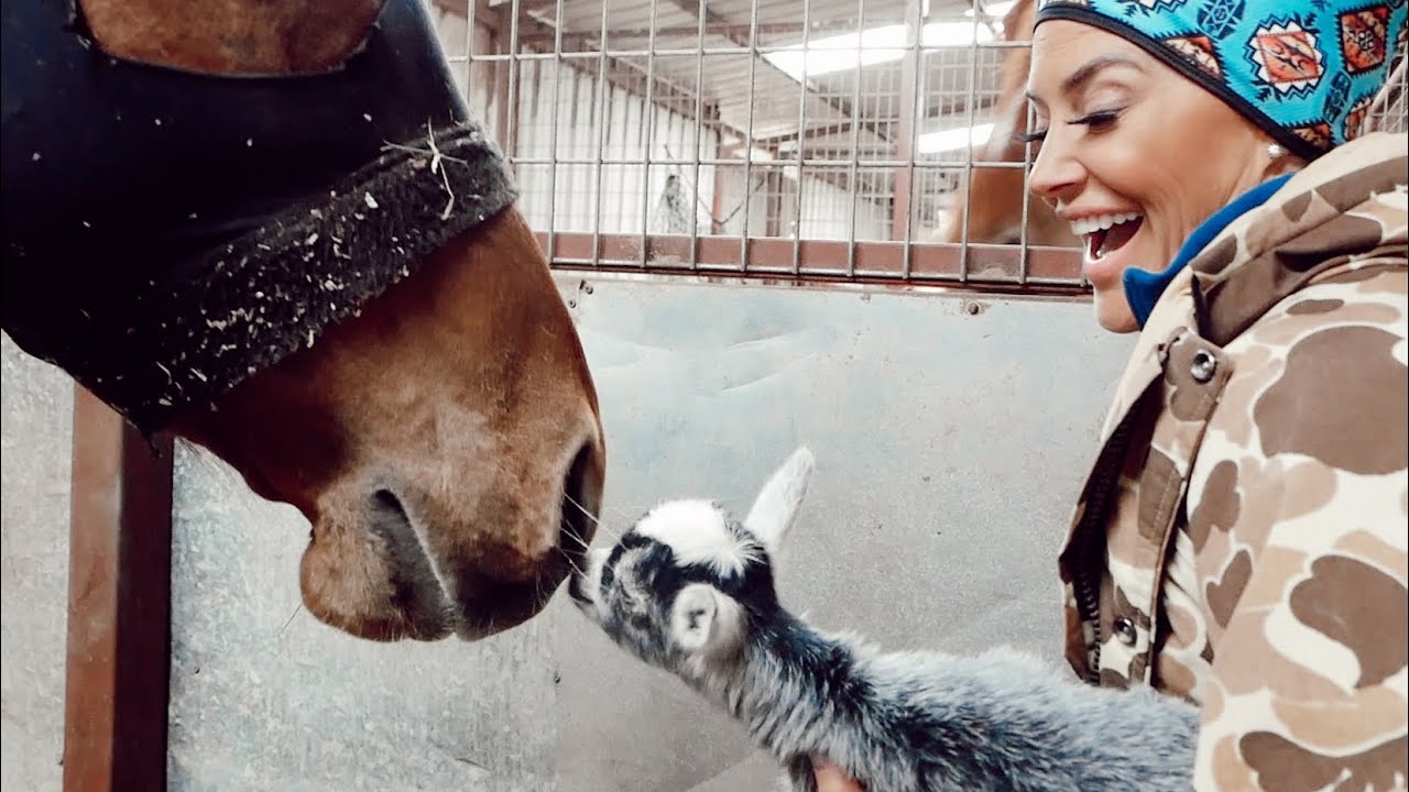 BABYFLO GOT A NEW GOAT!