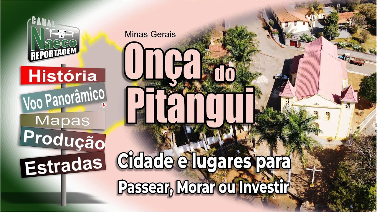 Onça do Pitangui, MG – Cidade para passear, morar e investir.