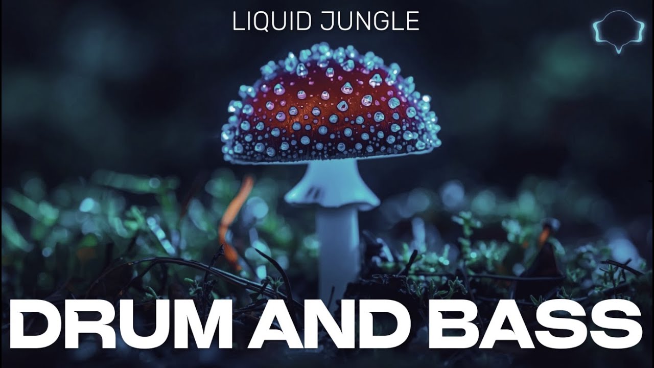 Drum and Bass Vol15 | Hallucinations
