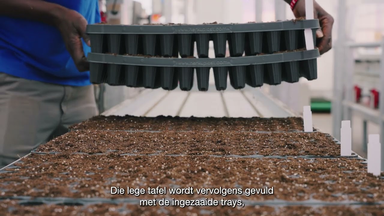 SESVanderHave: Automatisering bij SESVanderHave Innovatiecentrum (SVIC)
