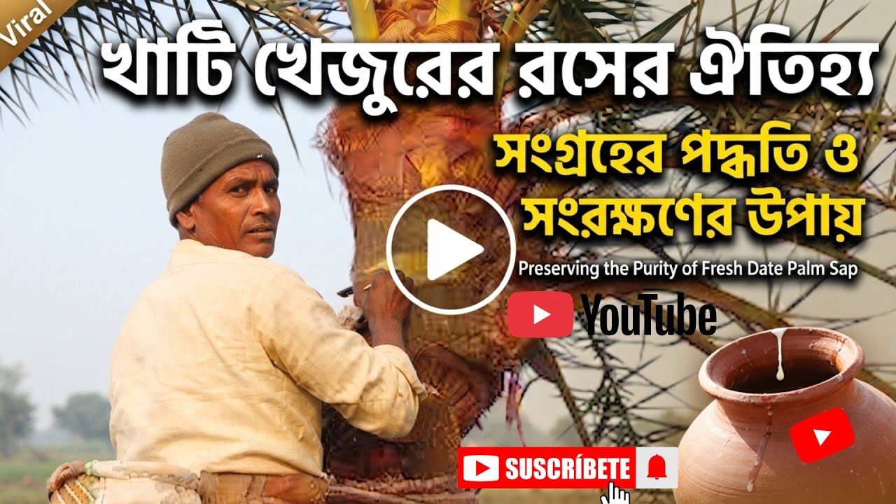 শীতের মৌসুমে গ্রামে দাদার অভিজ্ঞতায় খেজুরের খাঁটি রস সংগ্রহ/The juice collection method of the kezur
