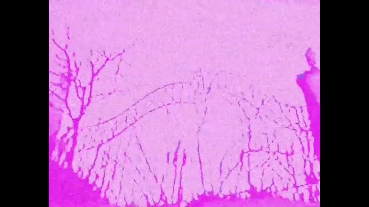 Nervøus - RECORD (Offical Video) 
