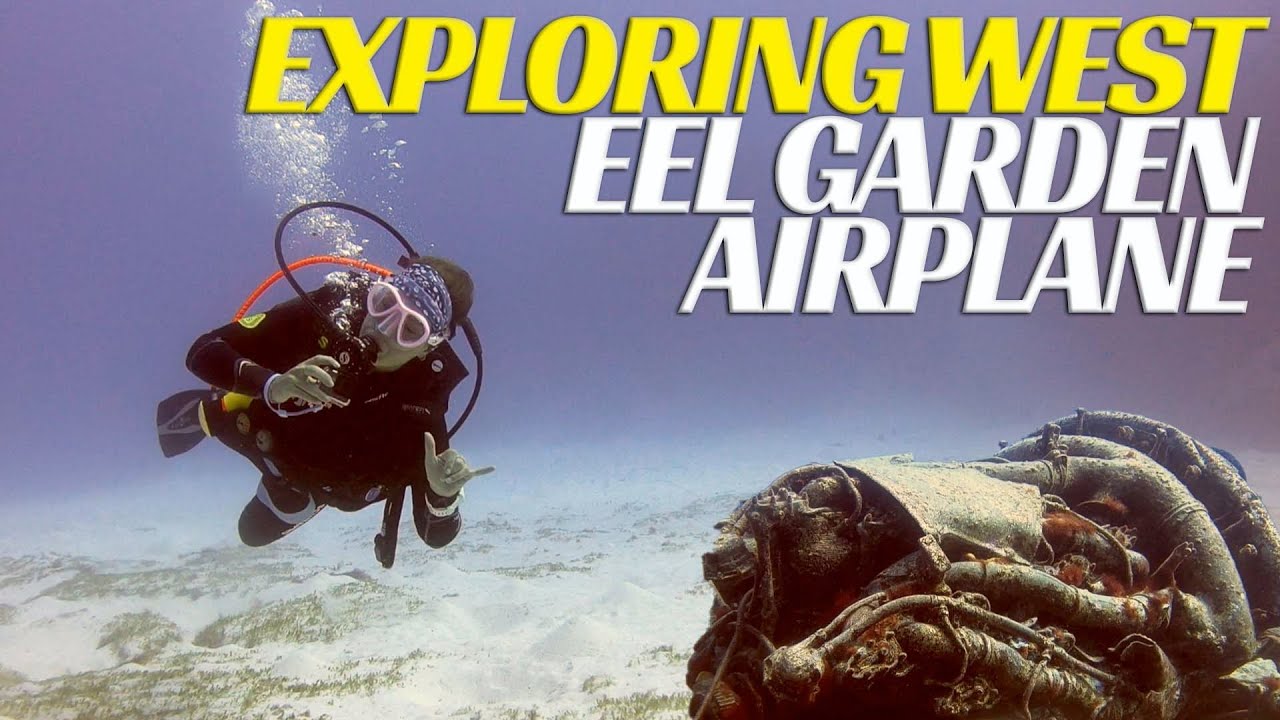 Exploring West - Eel Garden & Airplane - Ep 28 | Blue Horizon Diving