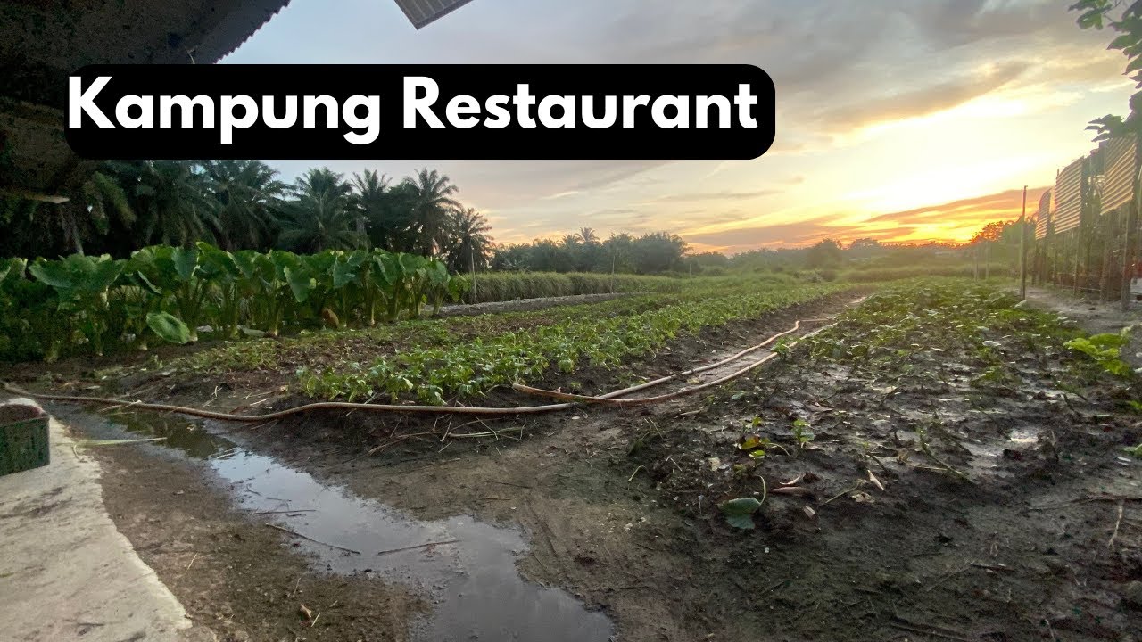 Dine surrounded by greeneries at Next Station Kampung Kitchen, Malacca