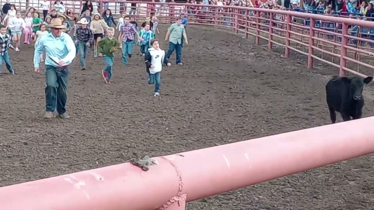 Calf Scramble - Pagosa Springs Rodeo - July 24, 2025