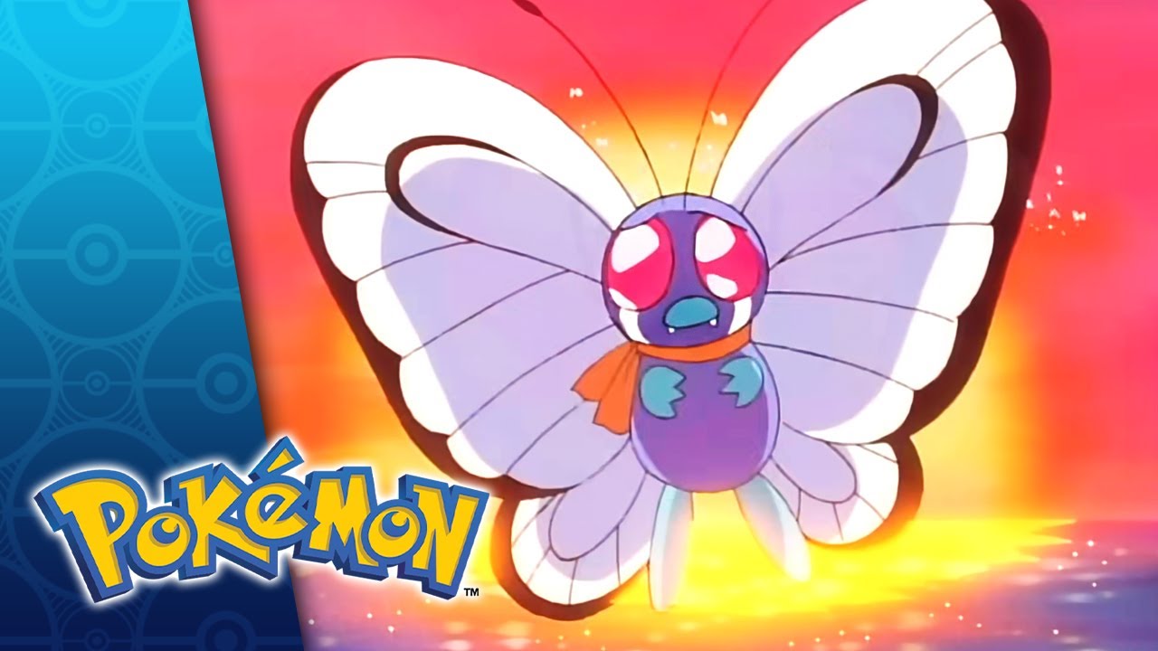 The Story of Ash's Butterfree | Pok&eacute;mon Season 1