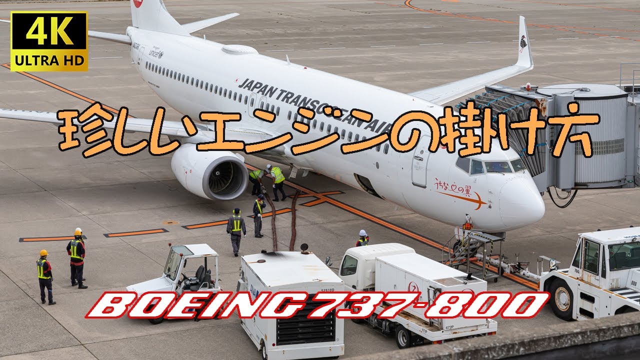 【Engine Start】F-4ファントムみたいなエンジンスタート【JTA B737-800】