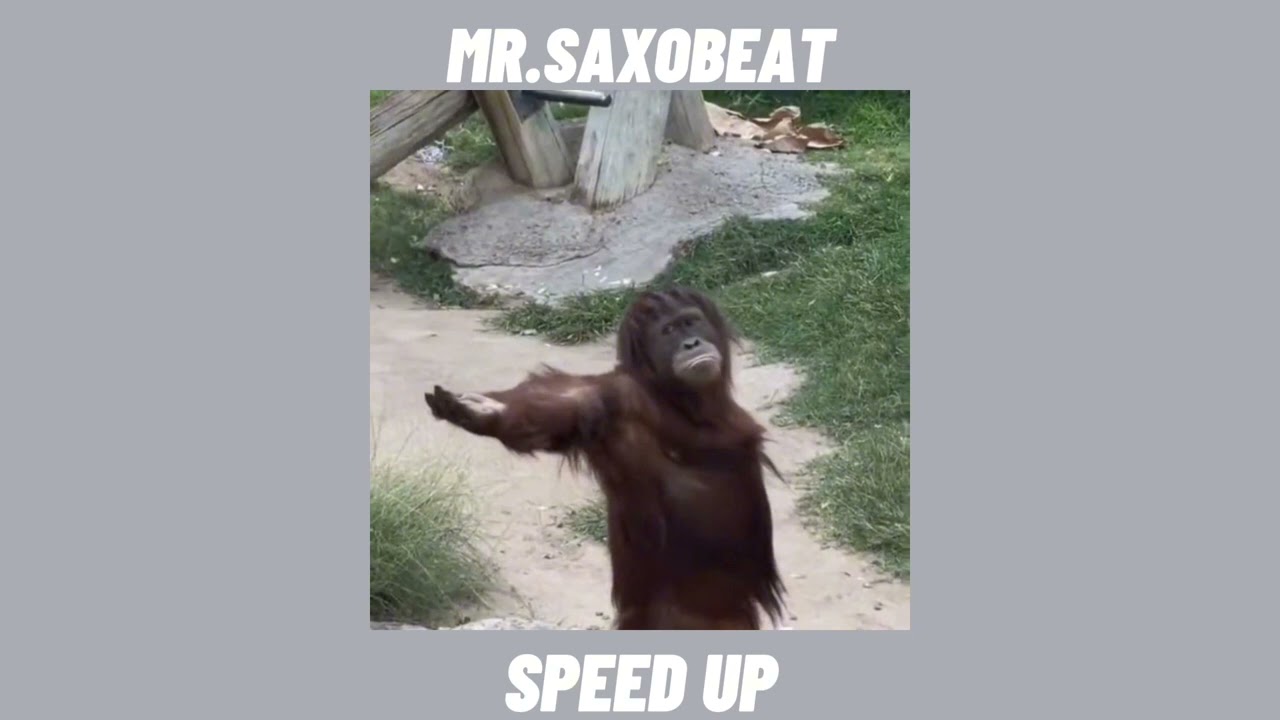 Mr.Saxobeat   [Speed Up]
