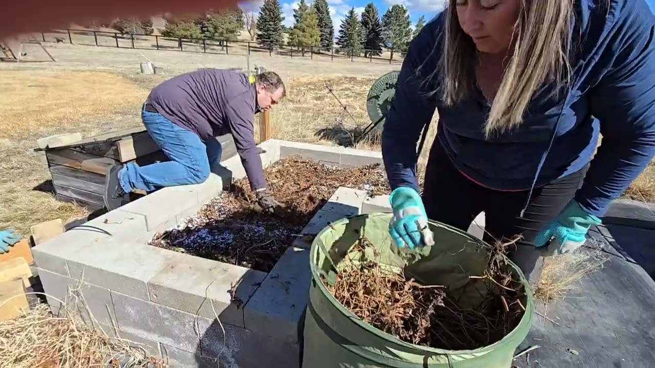 Cleaning Raised Garden Beds, filling up the pond.