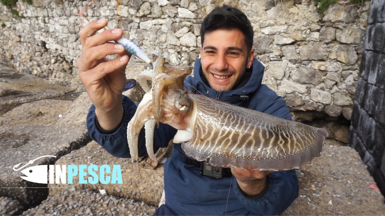 Pesca ad EGING su fondali rocciosi | Catture di Seppie con Catch & Release