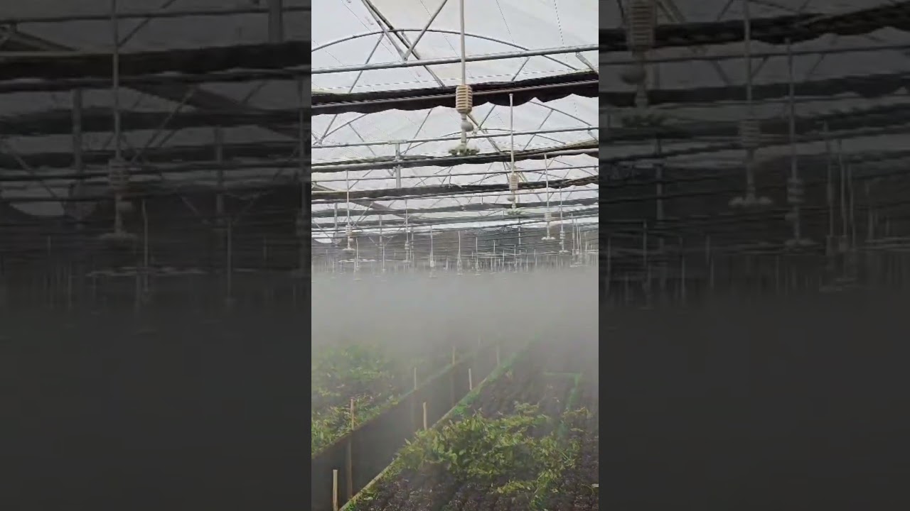 Netafim Fogger System