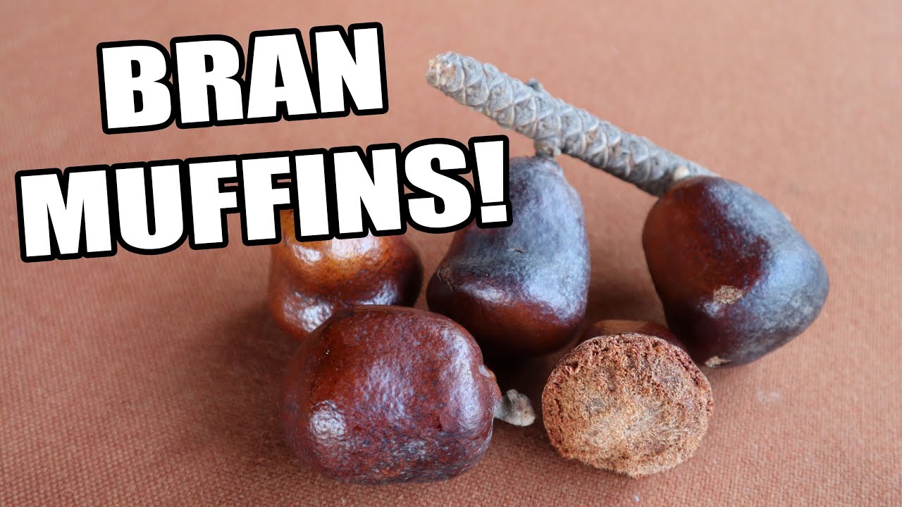 LALA PALM - This Super Rare Fruit Tastes like a MUFFIN! - Weird Fruit Explorer Ep. 385