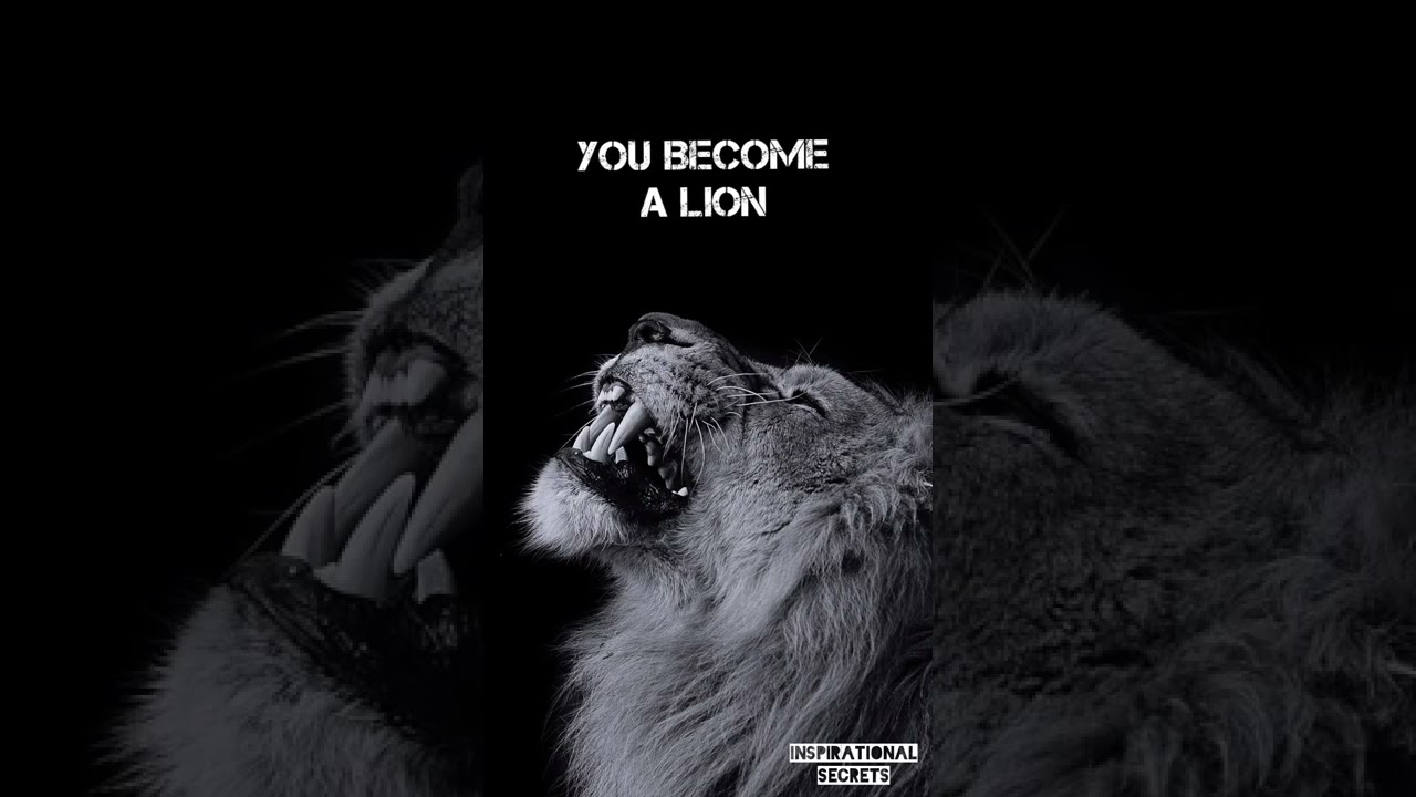 Lion mentality | Lion Roar | Lion quotes | Lion motivation