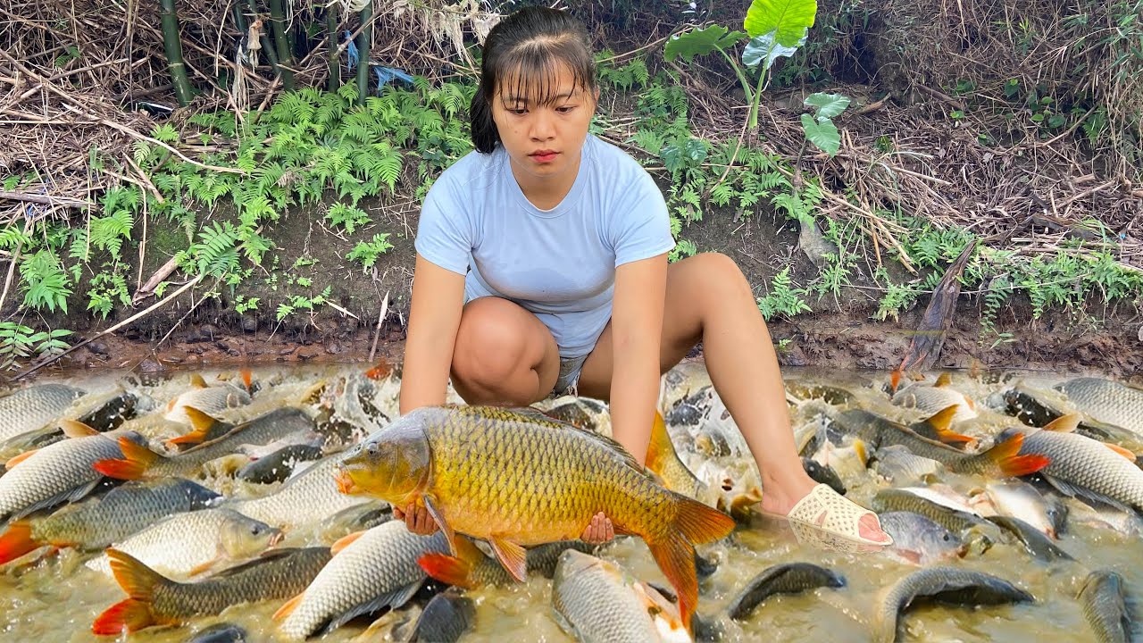 The young girl's excellent fishing skills on rivers and lakes resulted in a large catch of fish.