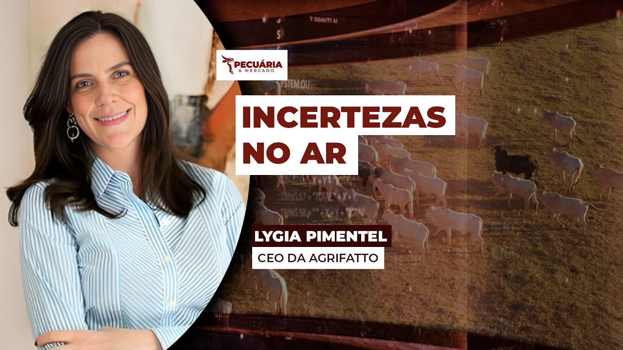 Arroba do boi para de cair, mas incertezas sobre as demandas e volume de oferta podem limitar...