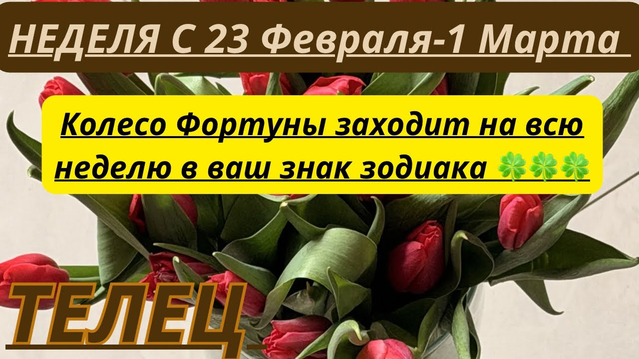 ТЕЛЕЦ ♉️ ТАРО ПРОГНОЗ С 23 Февраля-1 Марта/2026 от Alisa Belial.