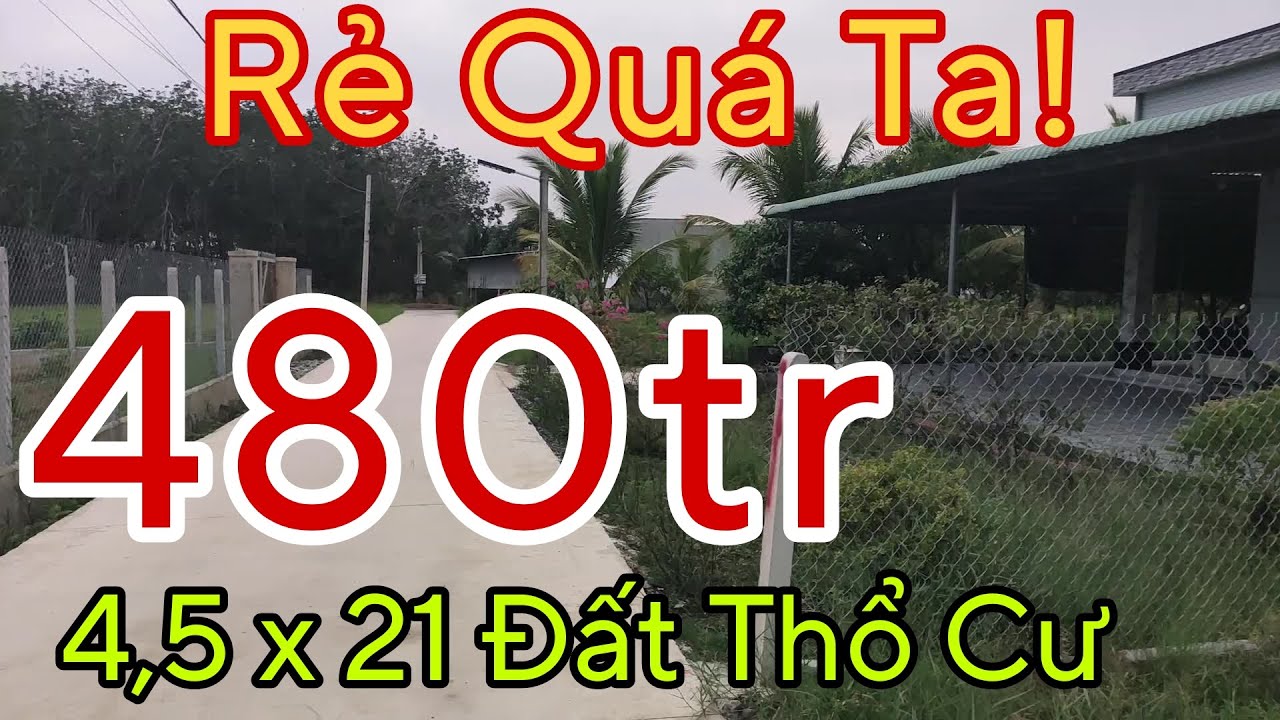 ❤️️ Bán Đất Gò Dầu Tây Ninh 480tr Giá Rẻ ✔️ Đất Tây Ninh 4,5x21 Thổ Cư 50m2
