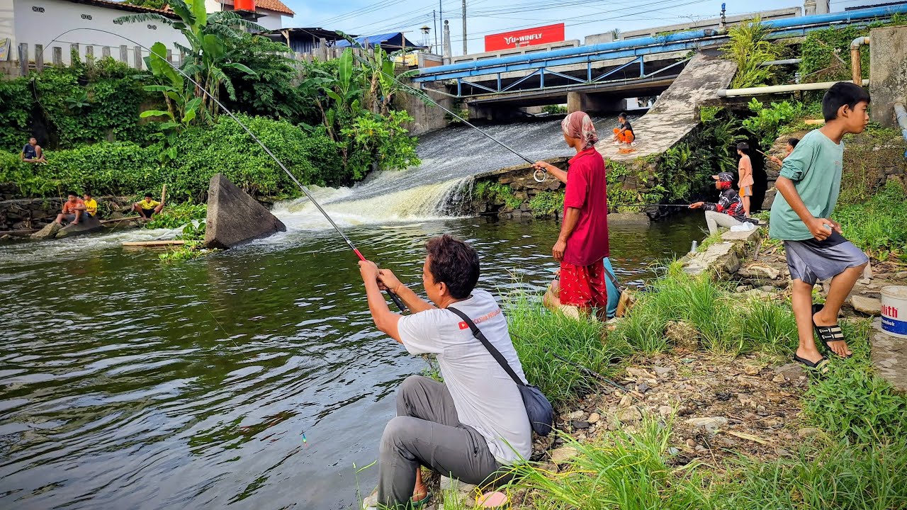 Live Mancing Di Spot Viral