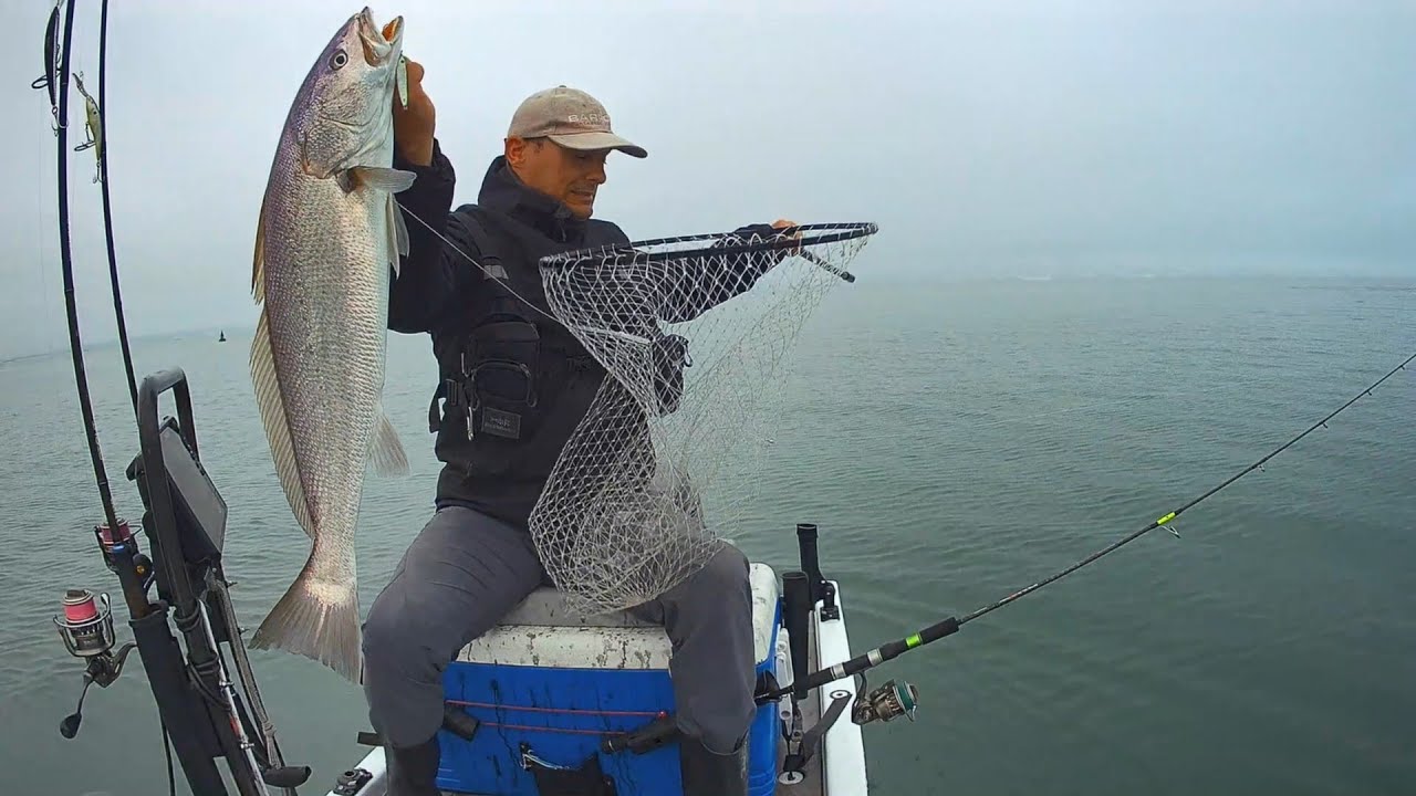Corvina  no Tejo com Zagaia.