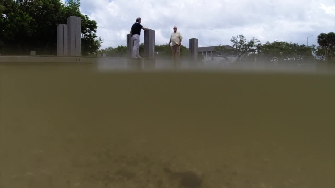 Are septic tanks to blame for Indian River Lagoon pollution?