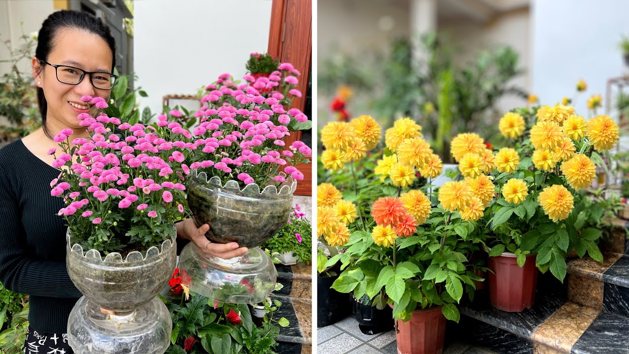 Give Your Garden a New Look: Flowers to Plant in Fall