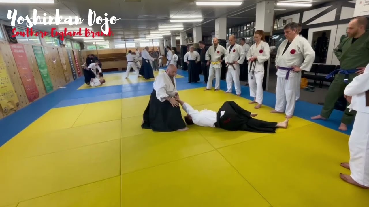 Motoha Yoshin Ryu Jujutsu, England, 2024