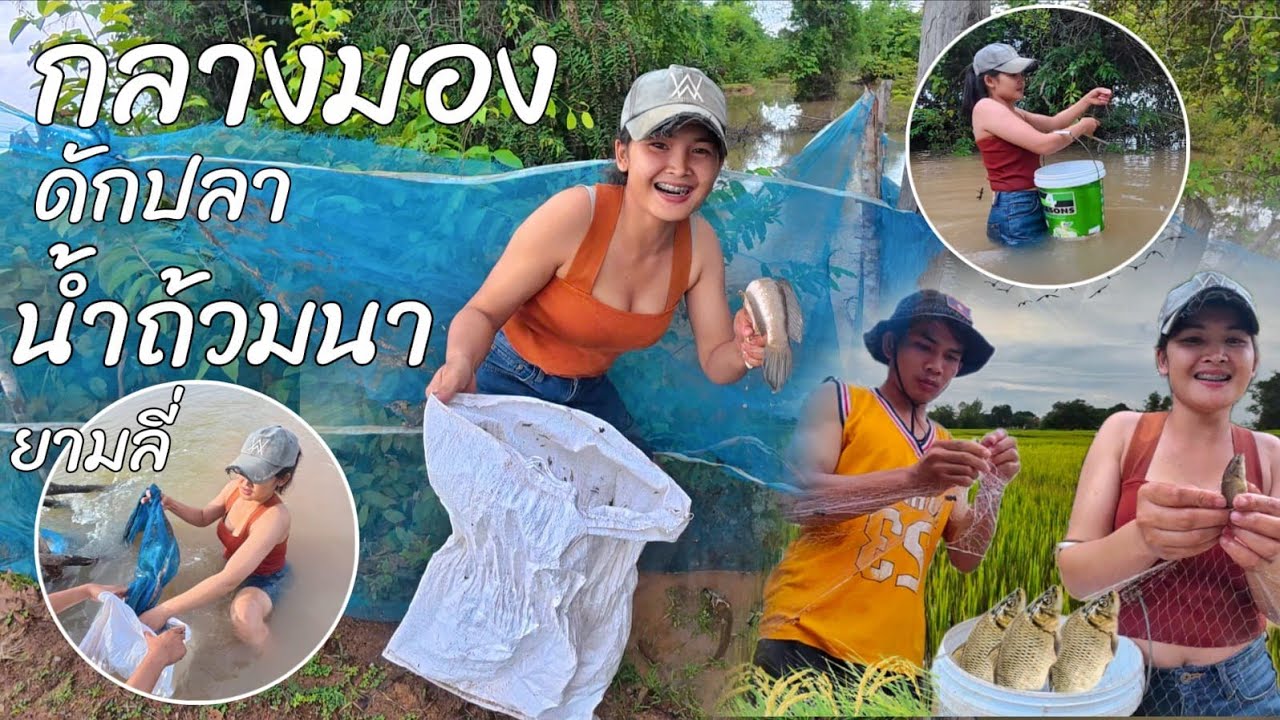 EP2สาวลาว🇱🇦ใส่มองกลางน้ำท้วมนา//Phurda ภรดา สาวลาว🇱🇦