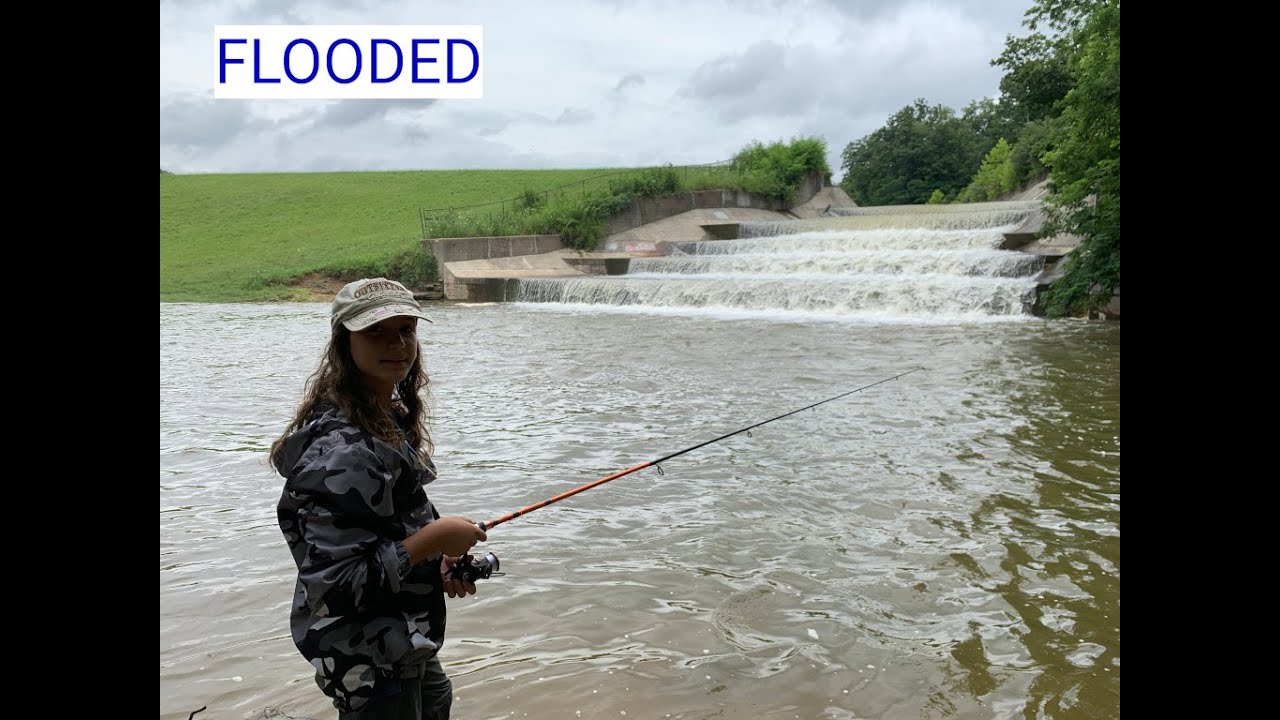 Flooded yellowwood state forest