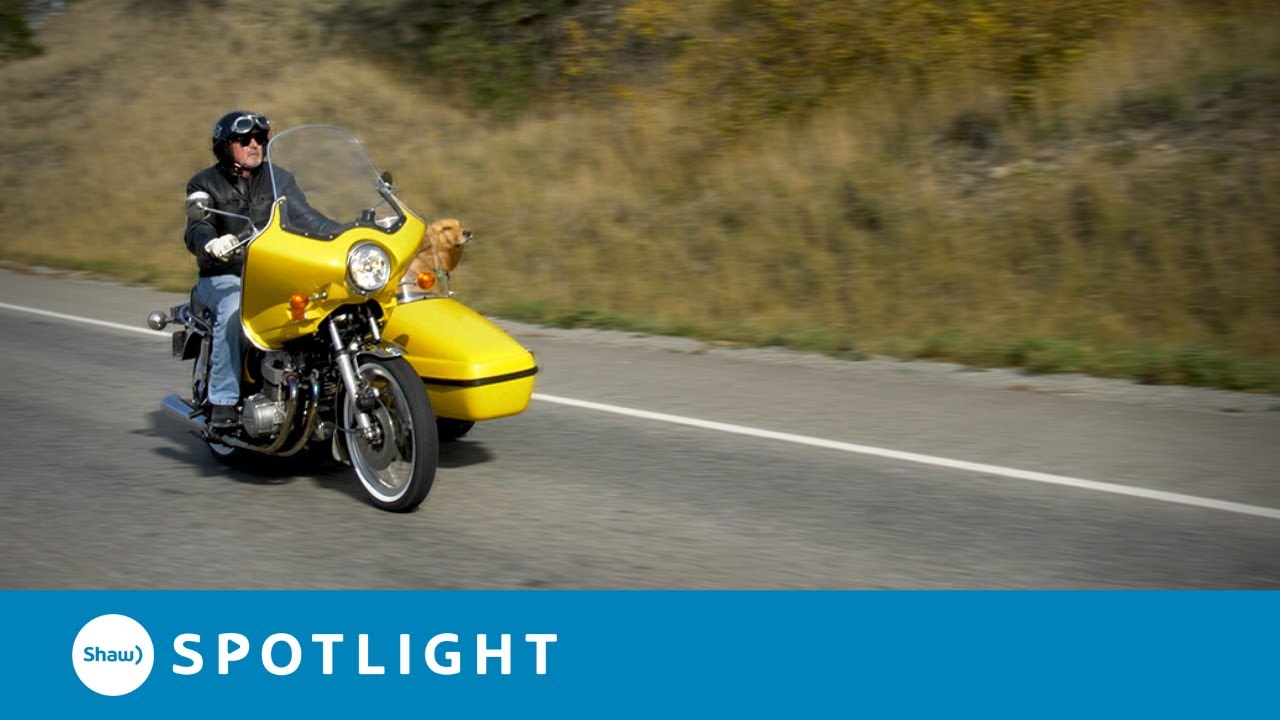 Motorcycle Rides with my Sidecar Dog