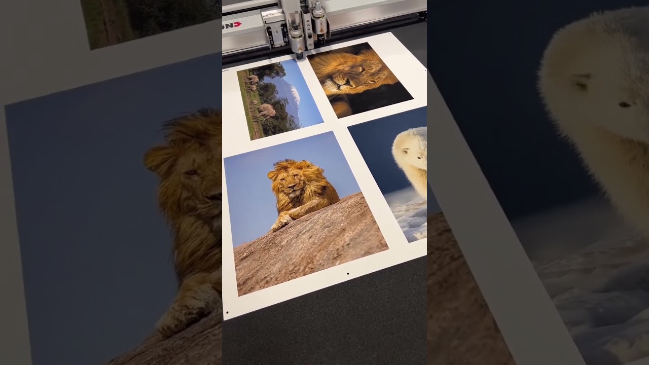 What You Need to Know About Giclee Prints : What is a Giclee Art Print?