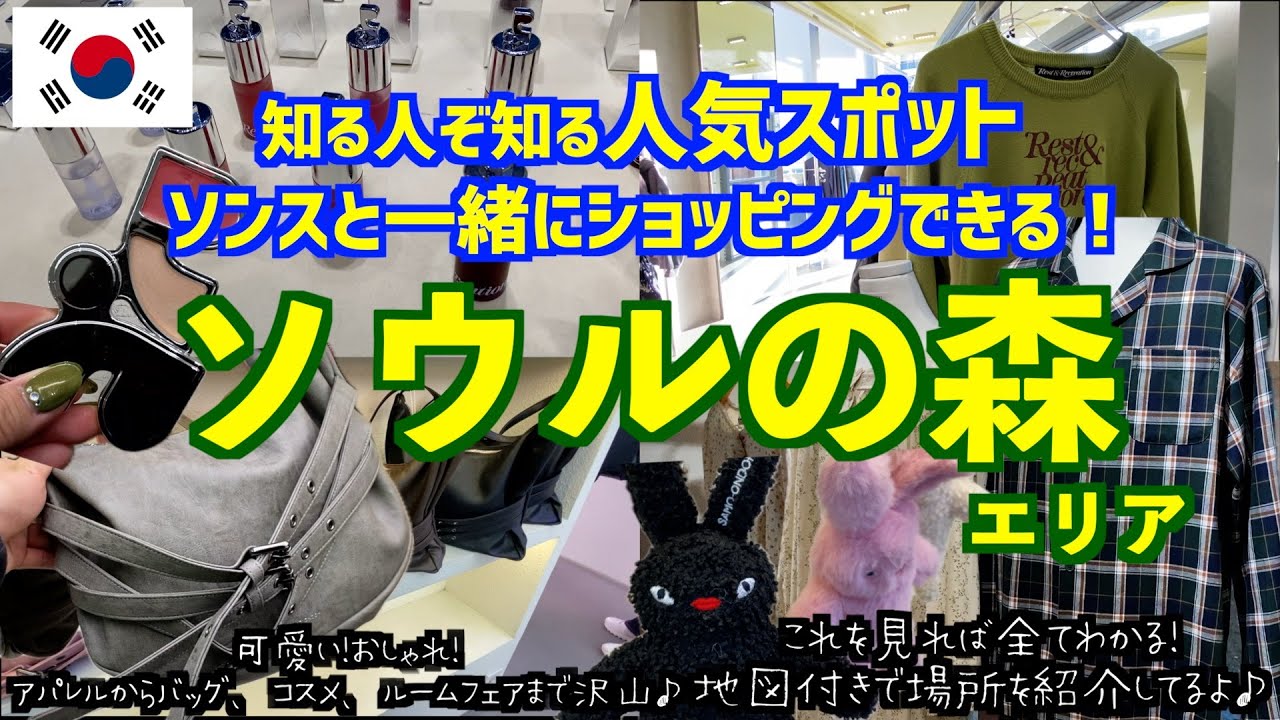 【韓国旅行🇰🇷】知る人ぞ知るスポット「ソウルの森」エリアを紹介！/Rest&Recreation/SAMOONDOH/ACOC/JUUNEEDU/詳しい場所も地図付きで解説してるので旅行の参考にしてね