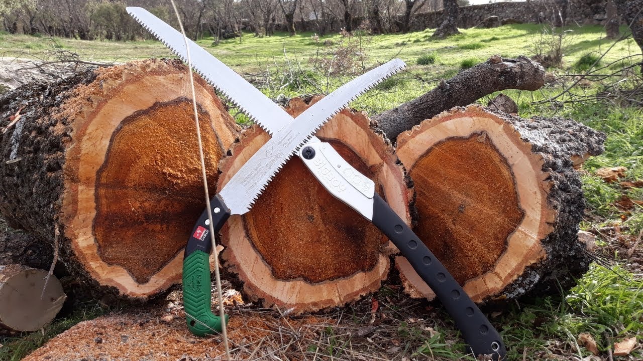 Sierras - 22 - Haciendo leña del arbol caído - Saws