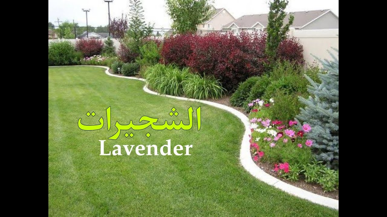 لاندسكيب ( الشجيرات )