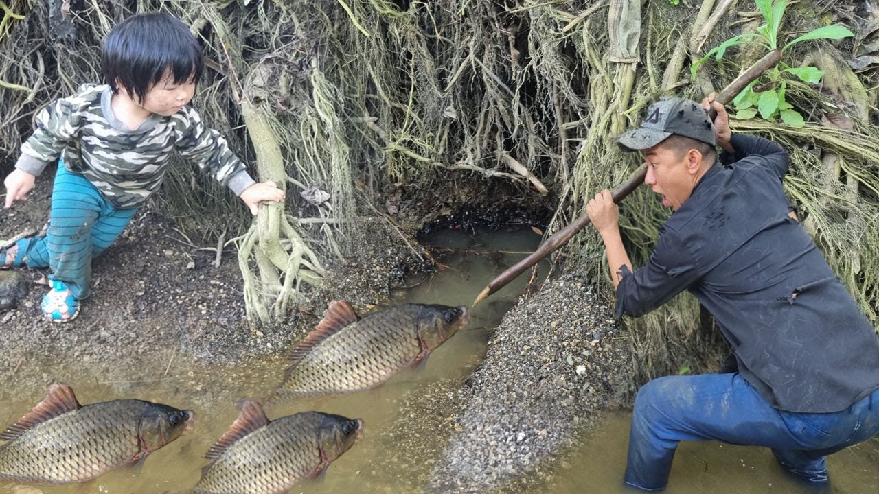 Skill build traps fish with deep holes in the river, Catching big fish, Cooking delicious fish