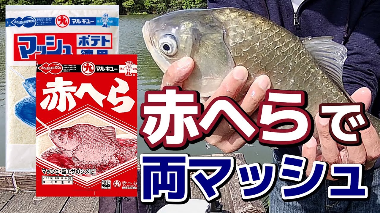 へらぶな釣り-