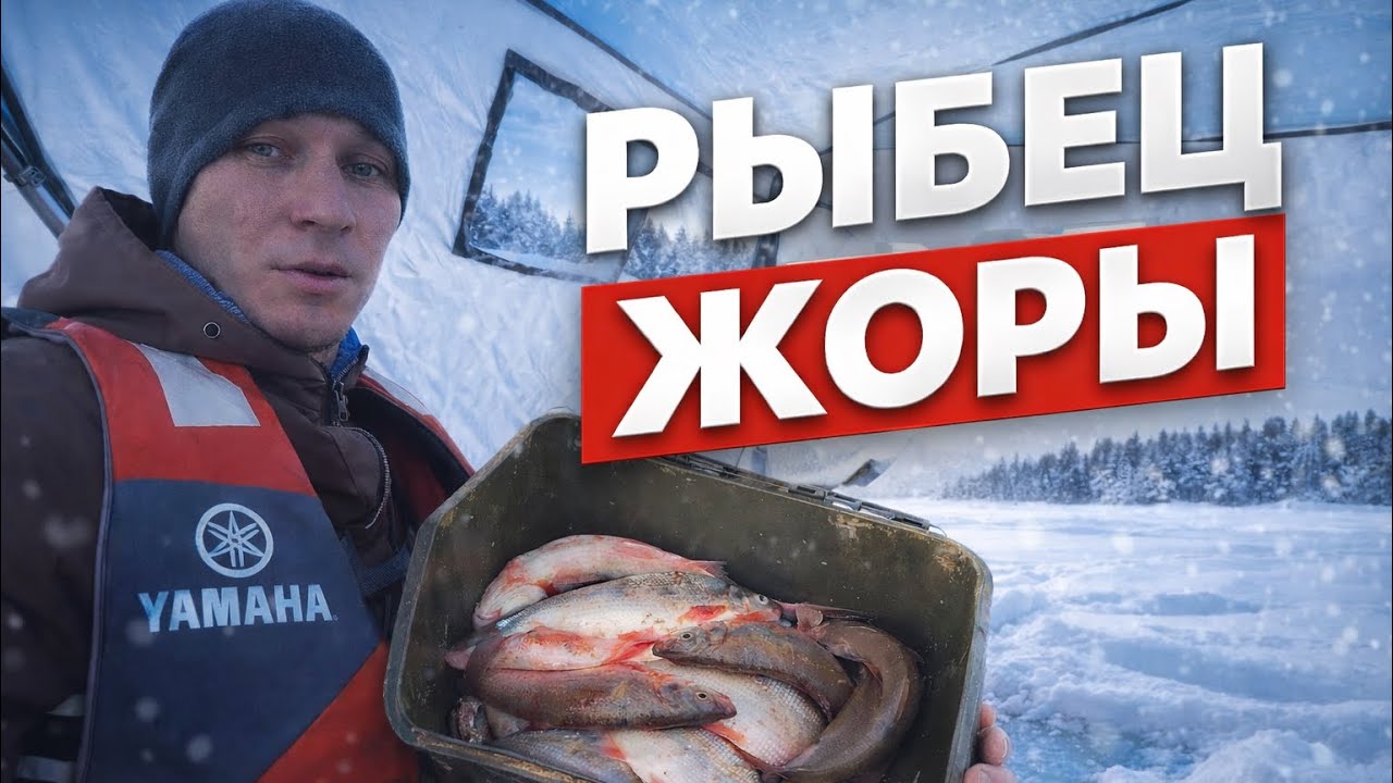 Түске дейін үнсіз болды… Ал кейін нағыз жор басталды!