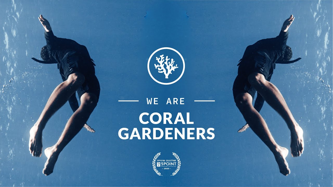We Are Coral Gardeners Film