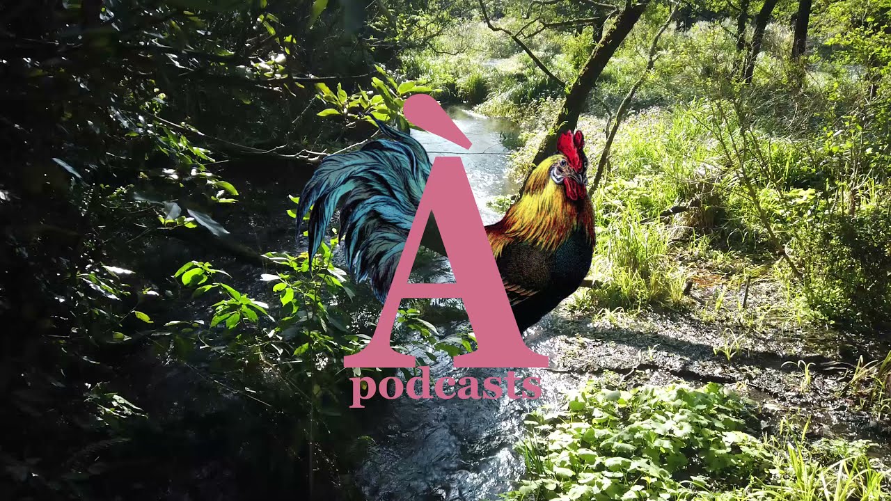 Radio Quelque chose - avec Julien #2: auteurs pr&eacute;f&eacute;r&eacute;s (RQC030)