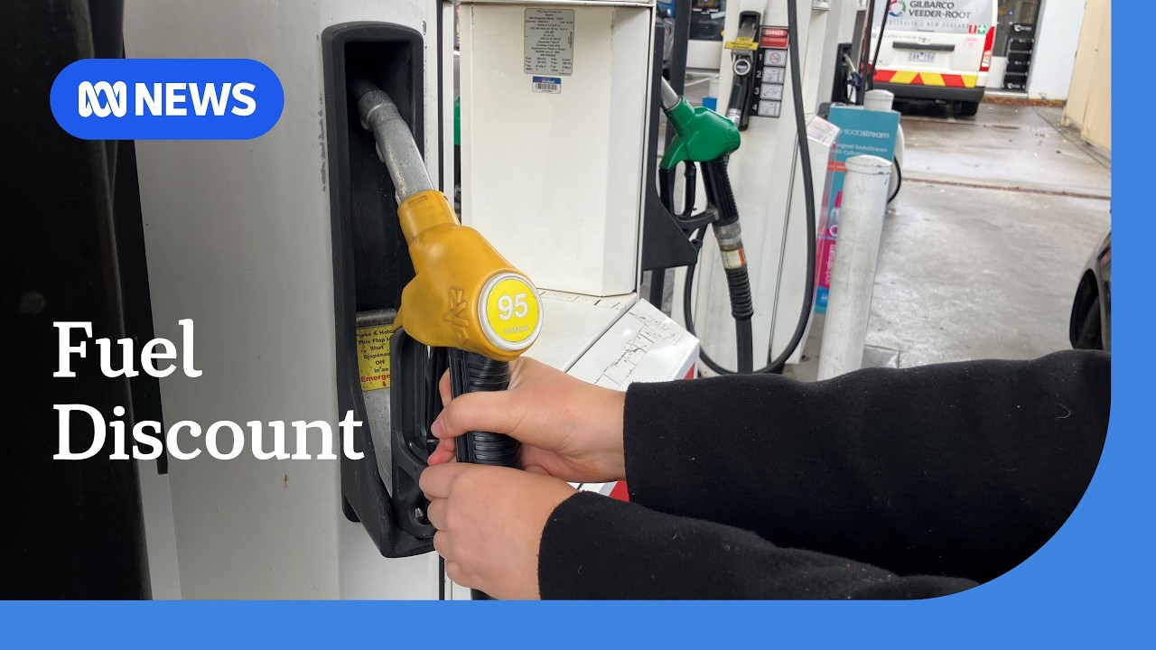 Economist calls for fuel excise to return to petrol, but not diesel | ABC NEWS