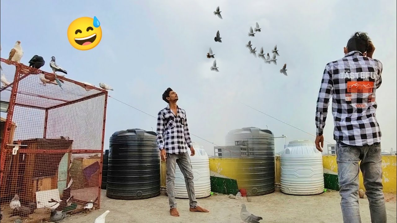 Naye Kabootar Uda Diya 😅
